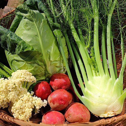 季節のおまかせ野菜セット Ｍ【１回分】
